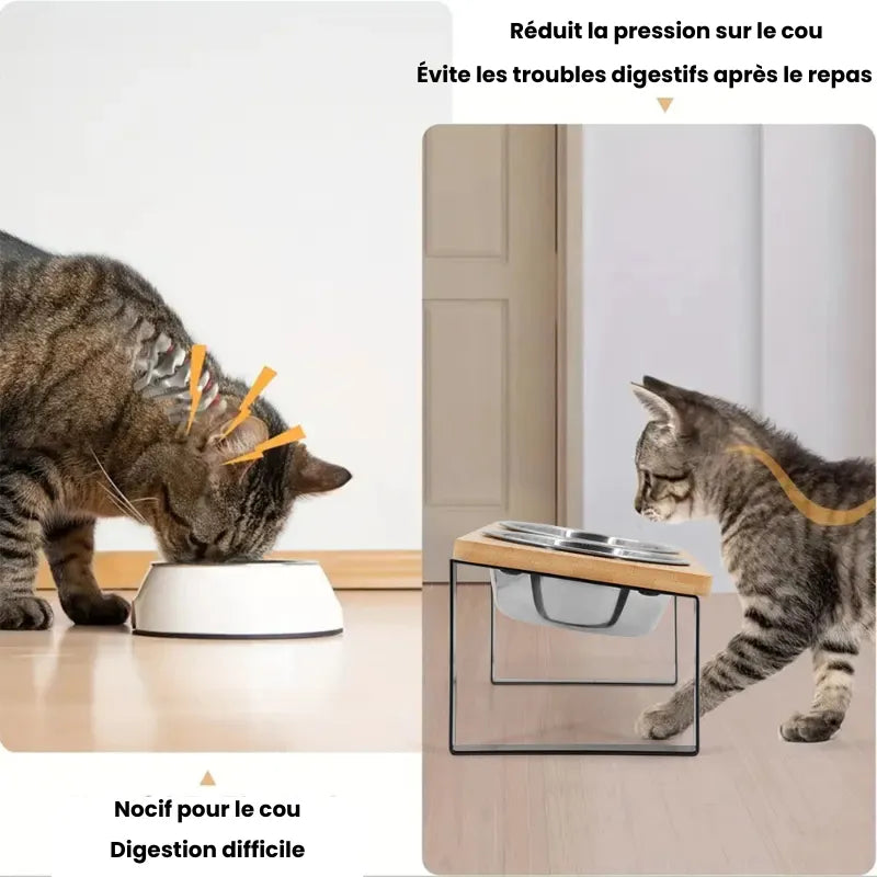 Avantage de la double gamelle chat surélevée en inox