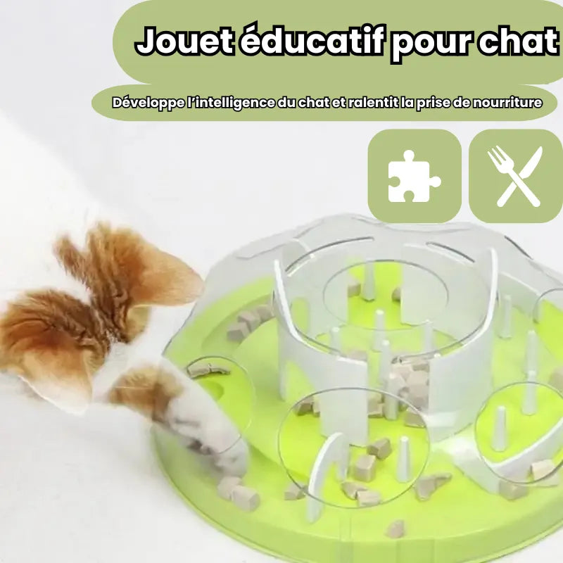 Avantage de la gamelle ludique chat casse tête