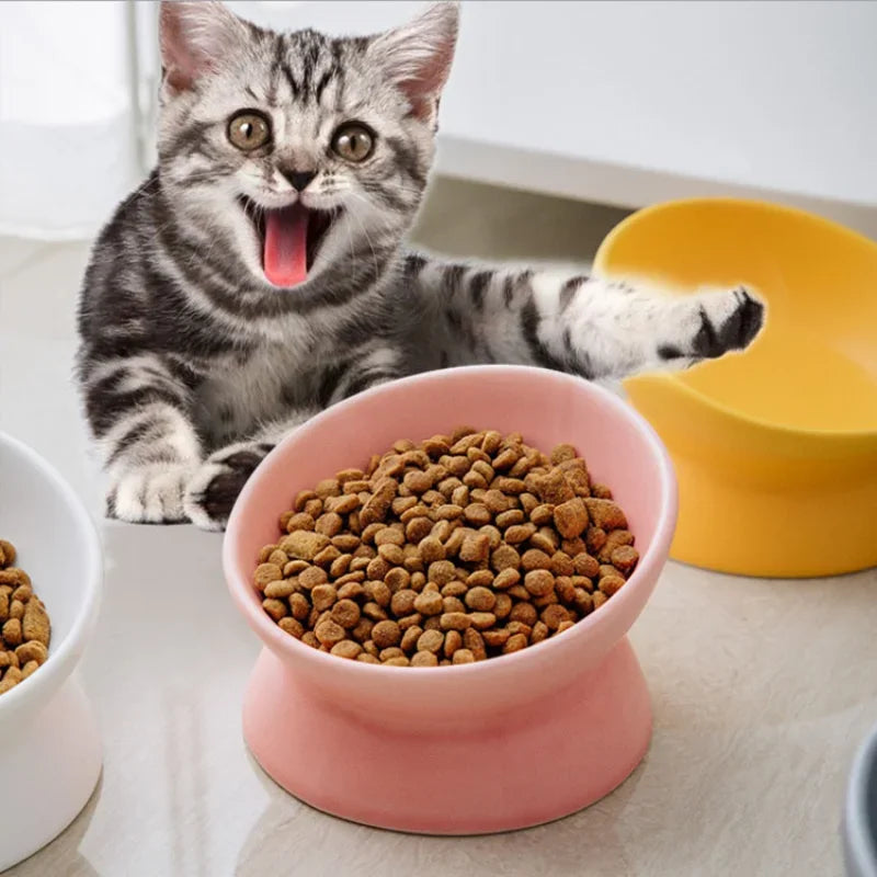 chat avec une gamelle céramique chat rose rempli de croquettes