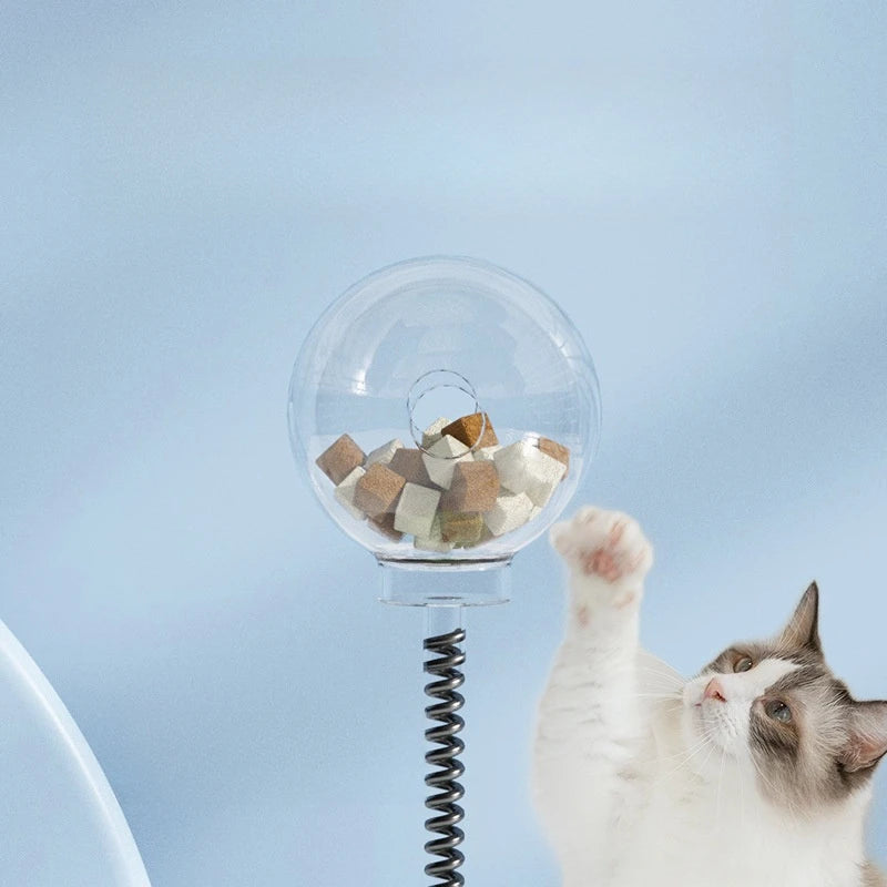 Chat qui essaye de prendre les croquettes de la Gamelle ludique chat ressort rotatif