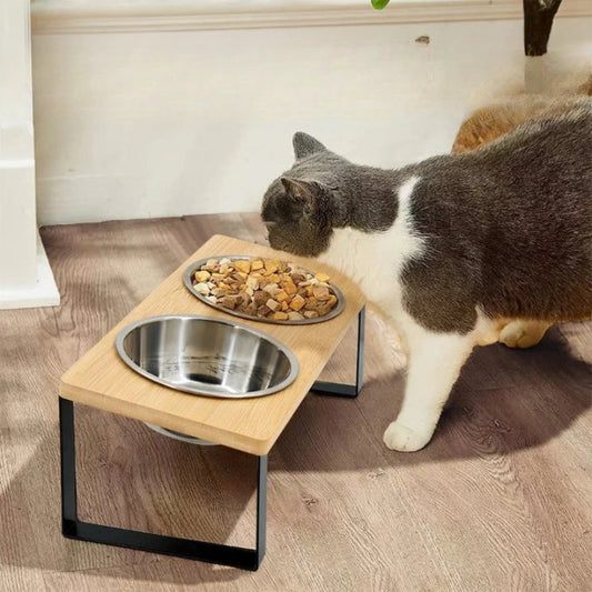 chat qui se nourrit dans une double gamelle chat surélevée en inox
