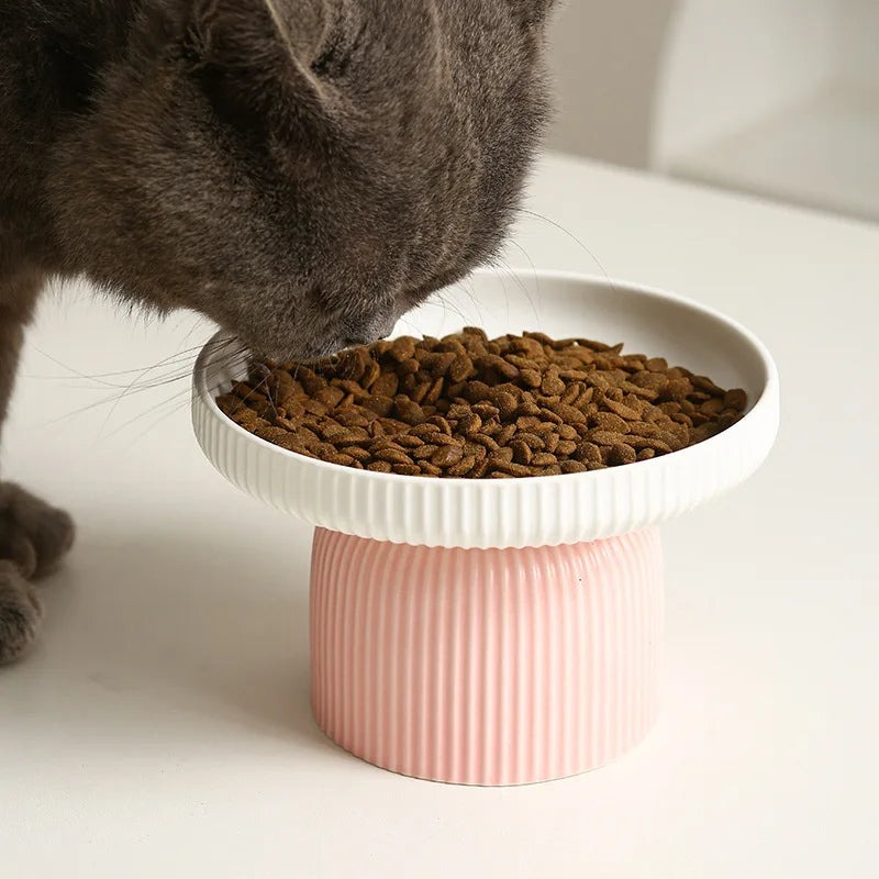 chat qui se nourrit dans une gamelle céramique chat motif fruit rempli de croquettes