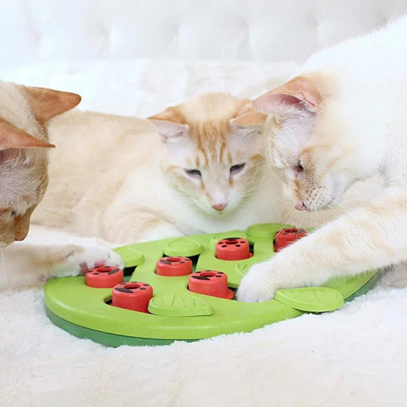 Chats qui jouent avec la gamelle ludique chat puzzle