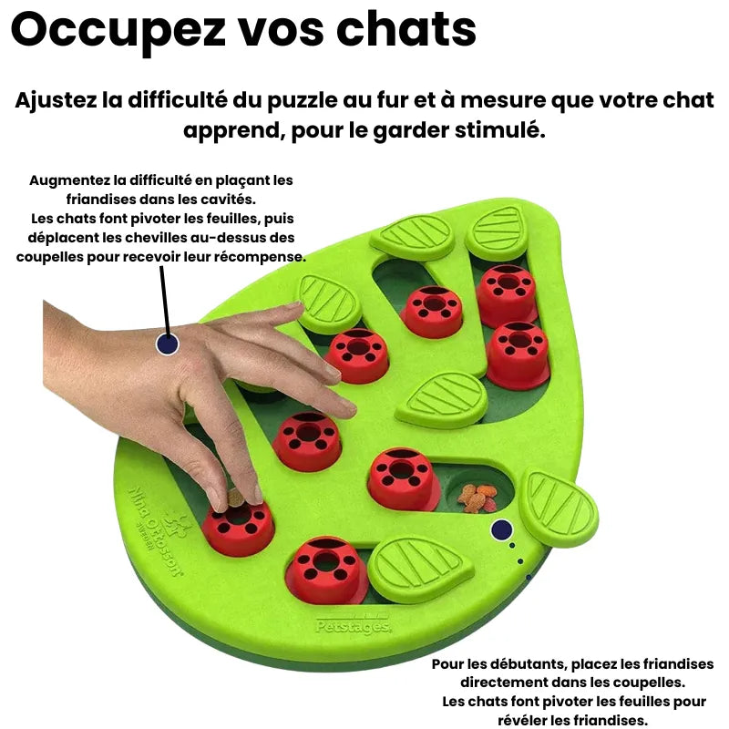 Explication de la gamelle ludique chat puzzle