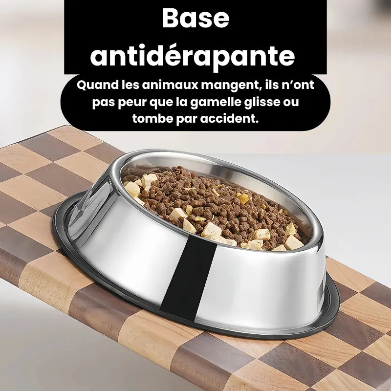 Gamelle Chat Inox Antidérapante rempli de croquettes