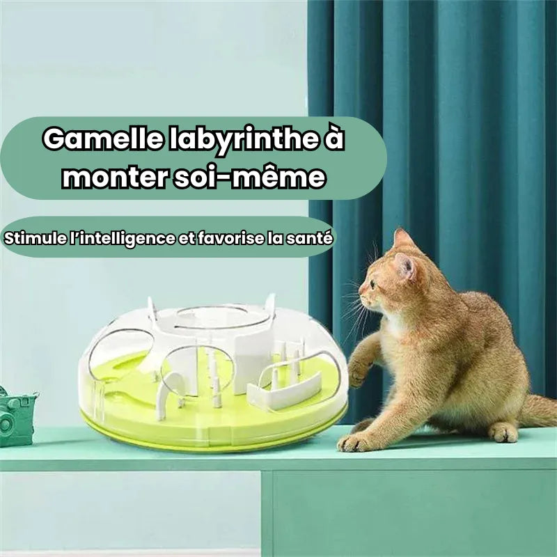 Gamelle ludique chat casse tête avec un chat qui s'amuse