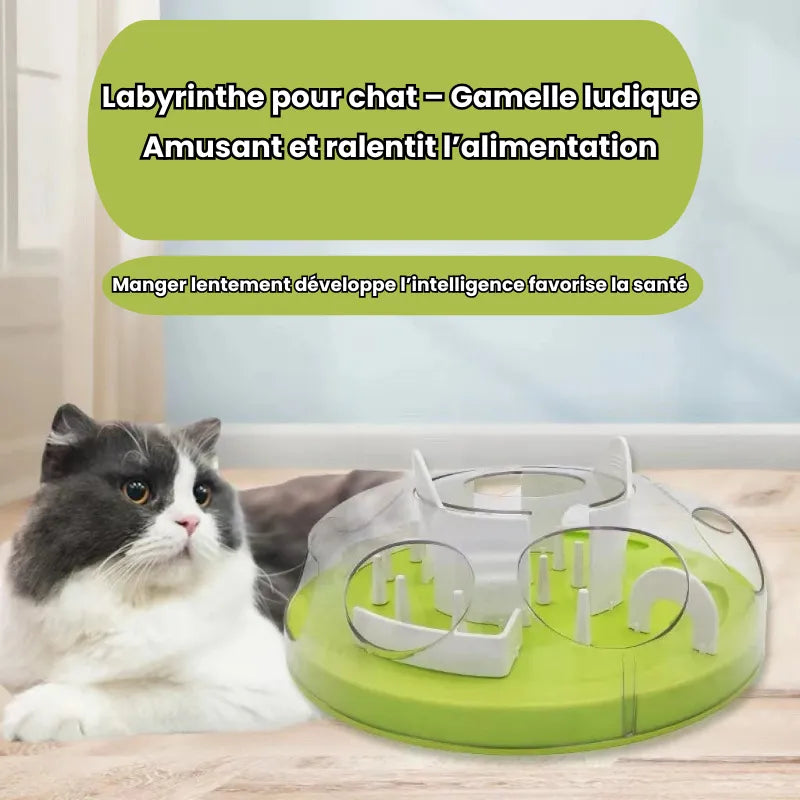 Objectif de la gamelle ludique chat casse tête