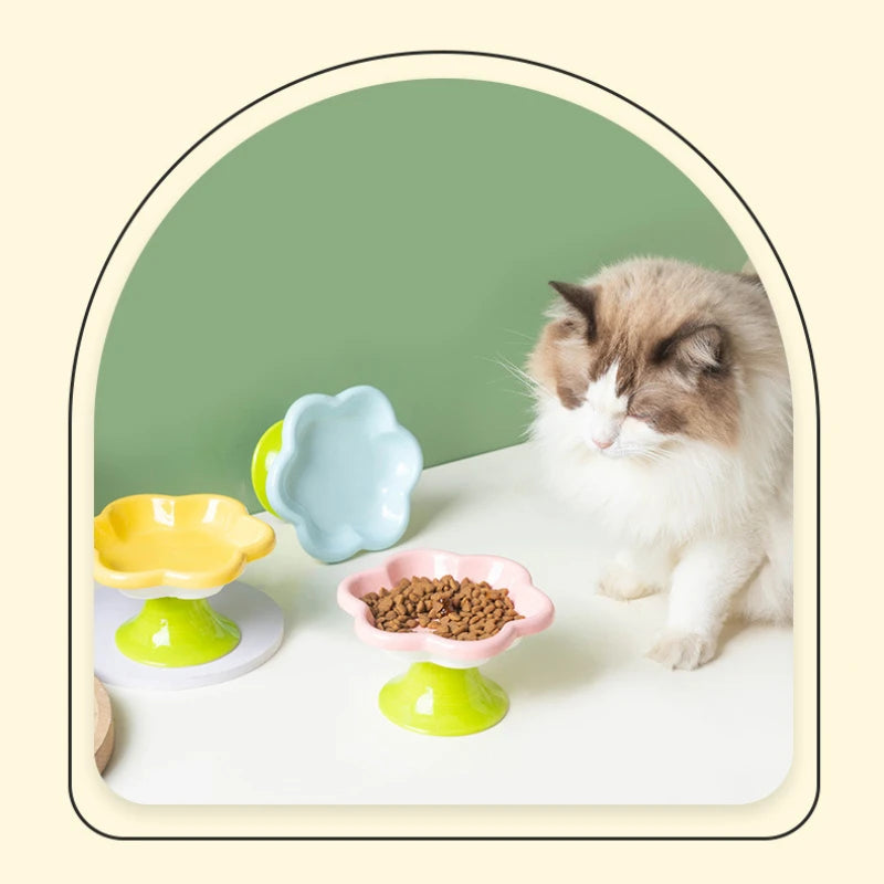 Repas du chat servi dans une gamelle chat surélevée en céramique rose