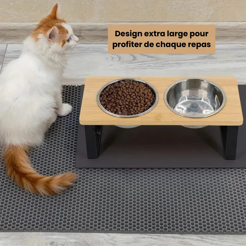 Repas servis au chat dans une double gamelle chat