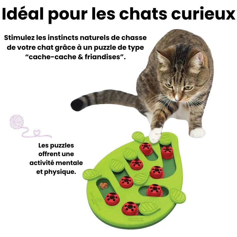 Explication du système de la gamelle ludique chat puzzle