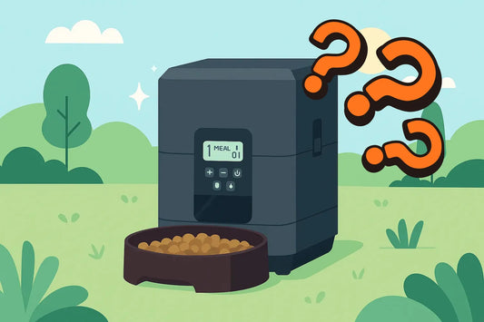 Quel distributeur de croquettes pour chat choisir ?