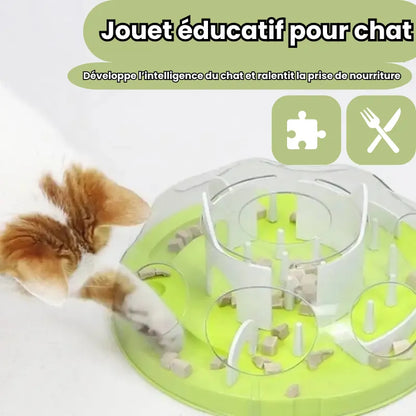 Avantage de la gamelle ludique chat casse tête