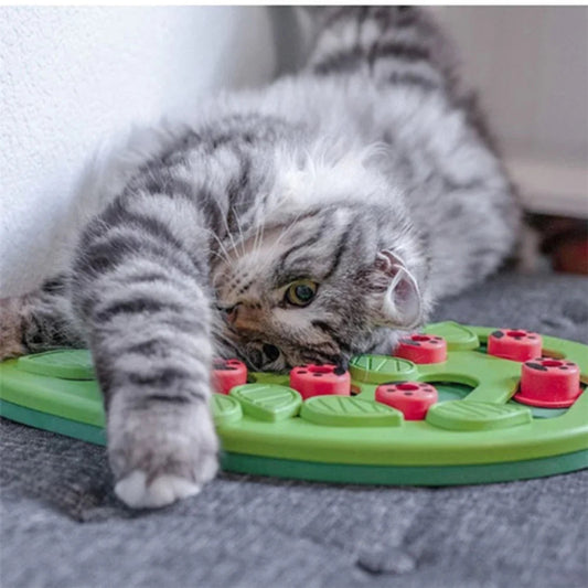 Chat qui s'amuse avec la gamelle ludique chat puzzle