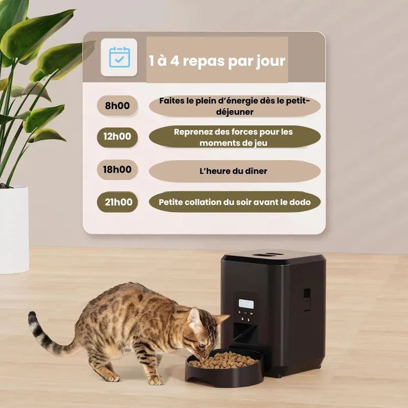 Distributeur Automatique de Croquettes pour Chat Programmable explication de plusieurs repas