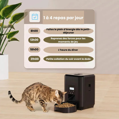 Distributeur Automatique de Croquettes pour Chat Programmable explication de plusieurs repas