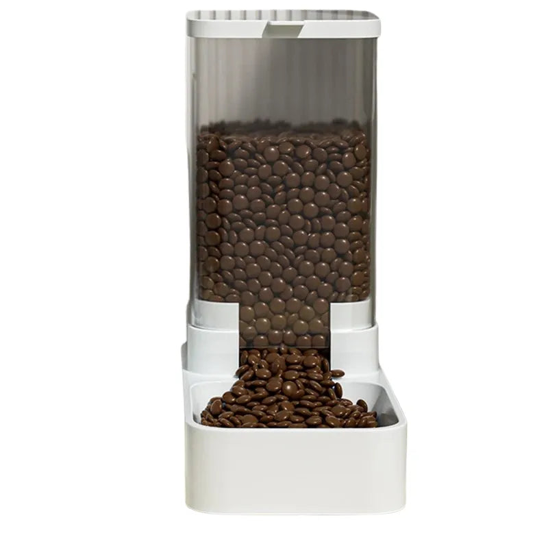 Distributeur de Croquettes pour Chat Design dans fond blanc