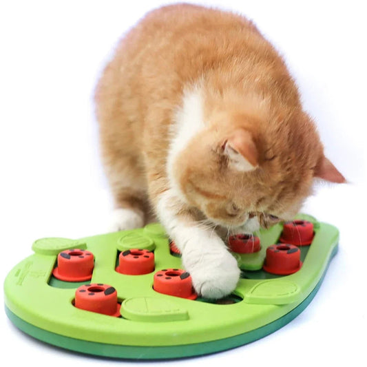 Gamelle ludique chat puzzle avec un chat