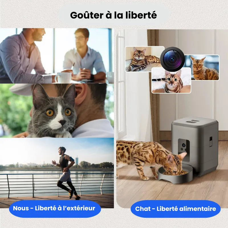 Image qui resume la liberté que peuvent atteindre les propriétaires de chats grace au distributeur de croquettes pour chat connecté avec caméra