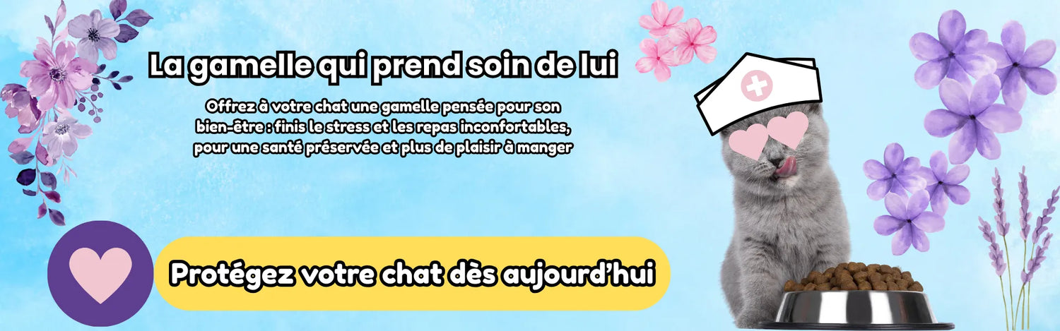 Bannière Ma-Gamelle-Chat