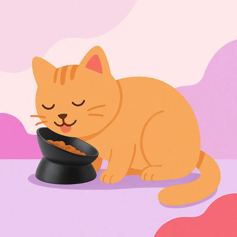 chat qui mange dans une gamelle céramique chat nordique noir
