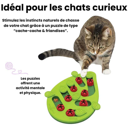 Explication du système de la gamelle ludique chat puzzle