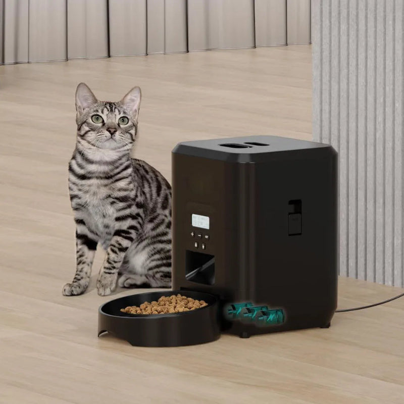 Chat à coté d'un Distributeur Automatique de Croquettes pour Chat Programmable