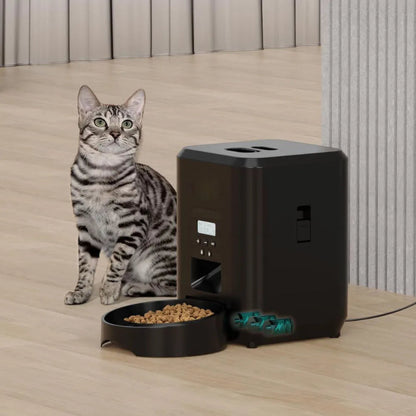 Chat à coté d'un Distributeur Automatique de Croquettes pour Chat Programmable