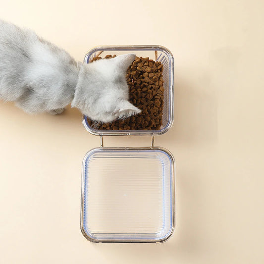 Chat qui mange dans une double gamelle chat surélevée design