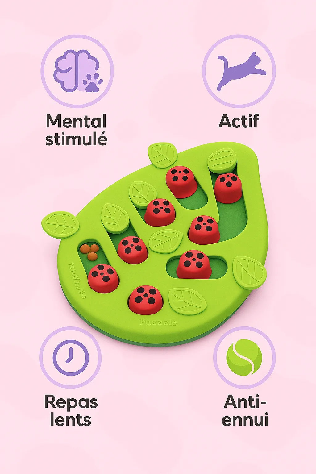 Gamelle Ludique Chat Puzzle avec 
es bénéfices autour